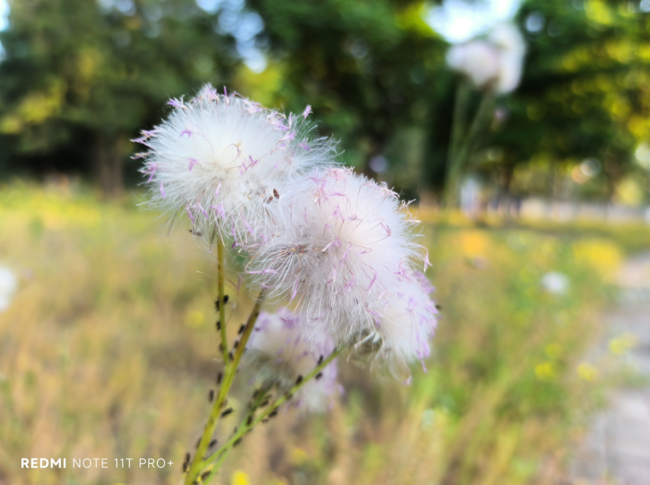 中端旗舰手机Redmi Note11T Pro+全面评测