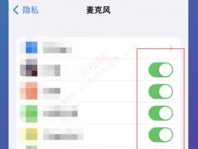 为啥我iOS15没有麦克风模式