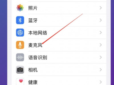 为啥我iOS15没有麦克风模式