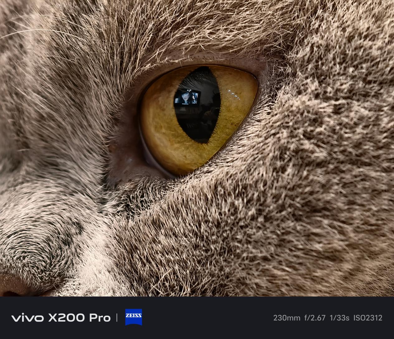 vivo X200 Pro评测：满分钜献 无愧“旗舰”之名